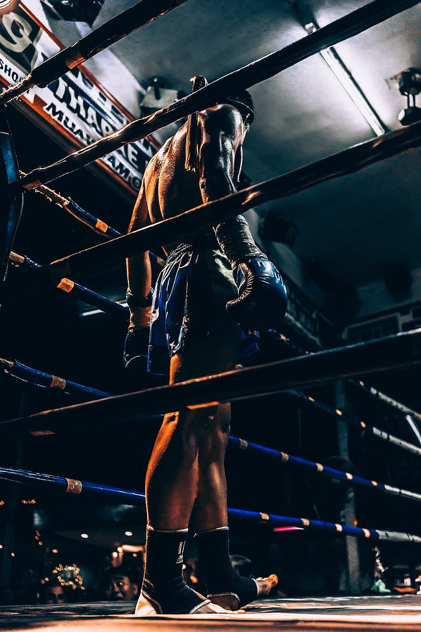Deporte de boxeo de lucha. Decoración de Diseño, Muay Thai fondo de pantalla del teléfono