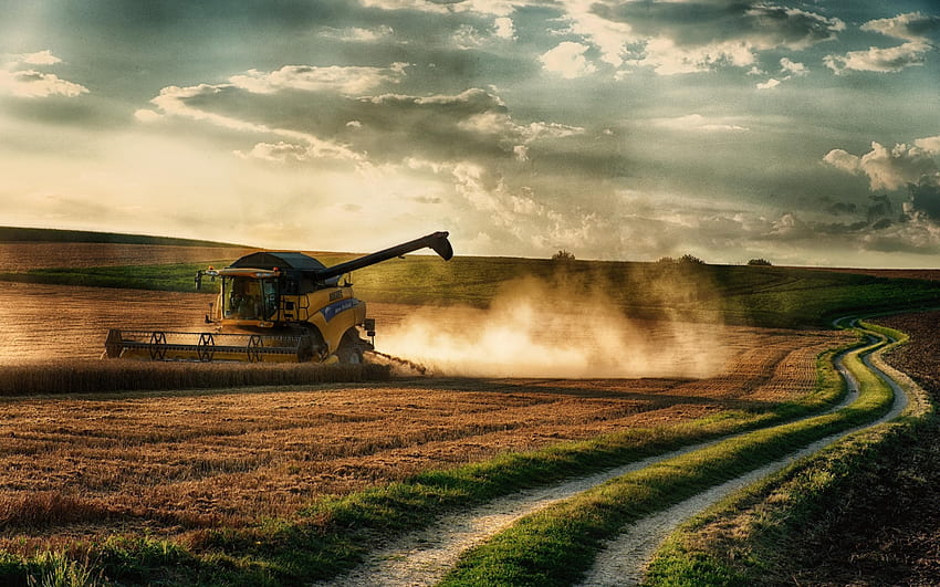 harvesting, combine, harvester, field, wheat, night, sunset, work for with resolution . High Quality HD wallpaper