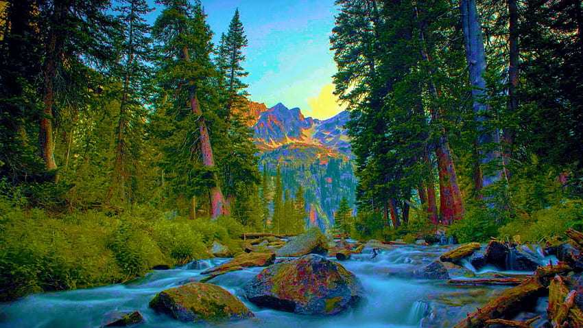 Indian Peaks Wilderness, Colorado, creek, trees, USA, sky, rocks, mountains HD wallpaper