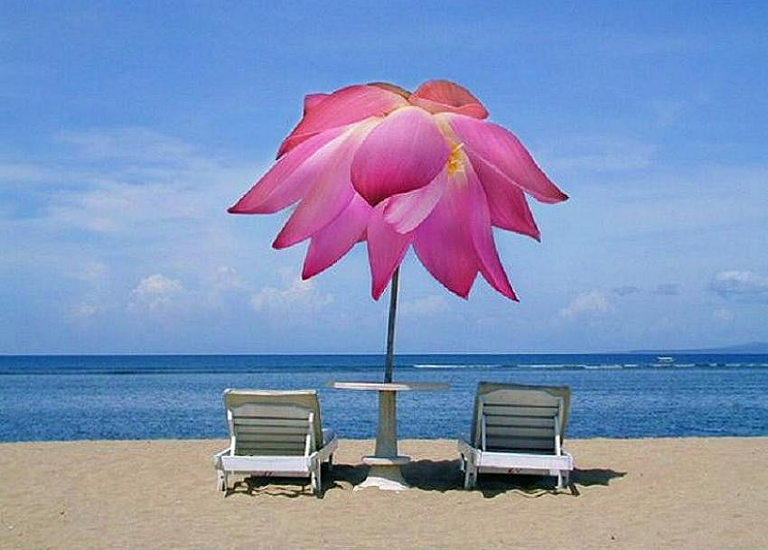 Journée Rosey à la plage, bleu, ciel bleu, chaises, blanc, sable, parapluie rose, océan, plage Fond d'écran HD