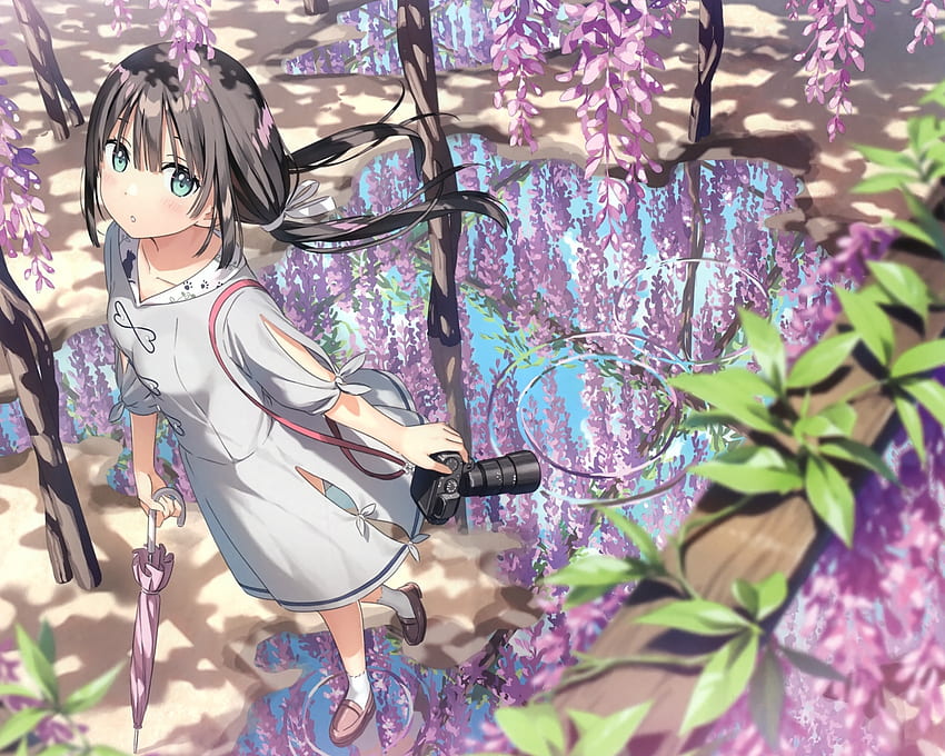 Appareil , Kantoku, Printemps, Réflexion, Anime Girl, Purple Flowers - Resolution:, Anime Girl Spring Fond d'écran HD