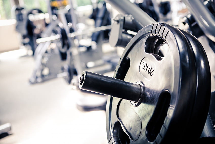 Gym Weights Dumbbells - อุปกรณ์ออกกำลังกาย อุปกรณ์ฟิตเนส วอลล์เปเปอร์ HD