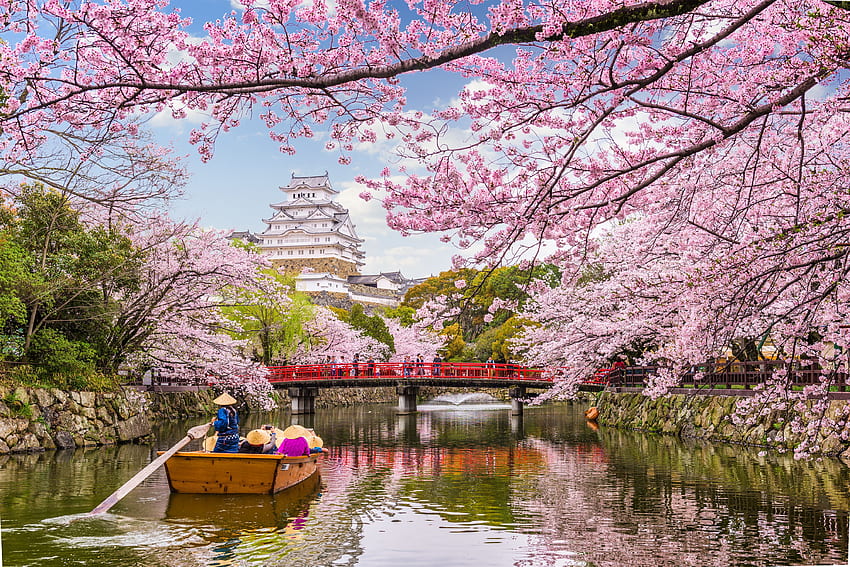 Cherry Blossom Lake, Sakura, Japan ( credit to Sean Pavone) [4500 x 3003] – Dist HD wallpaper