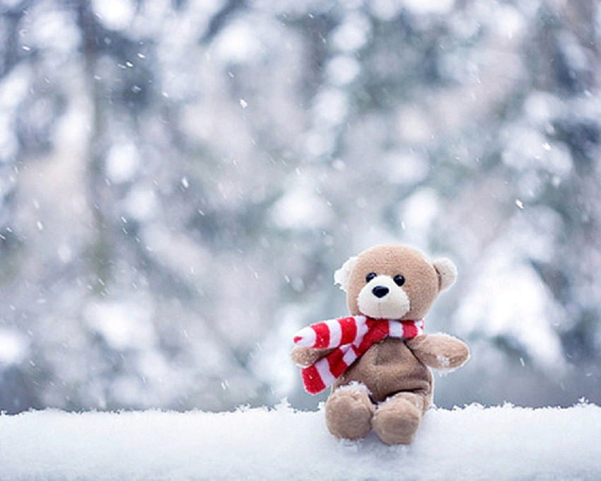 Teddy bear border Happy New Year Wishes Quotes. Teddy bear , Bear , Teddy  bear, Winter Teddy Bears HD wallpaper | Pxfuel