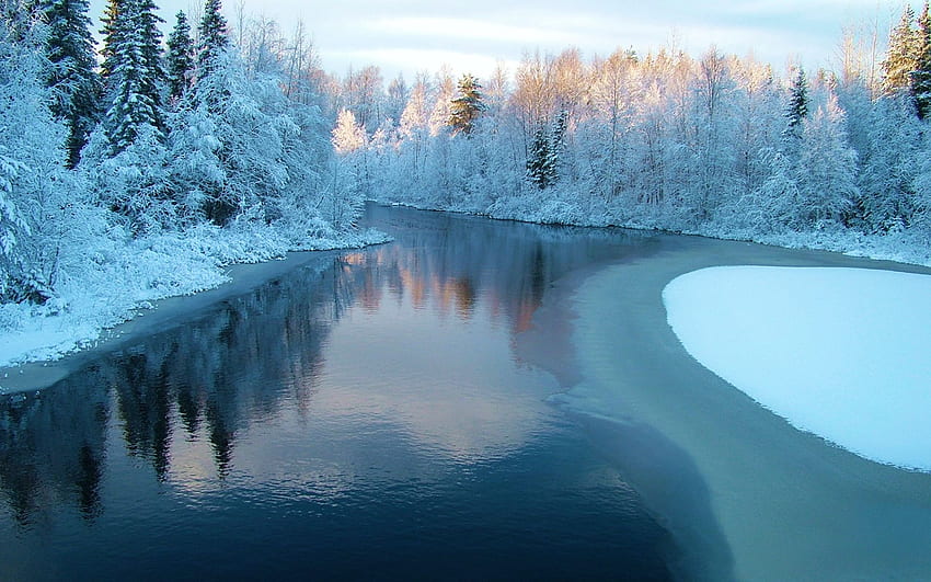 Frozen River, firs, snow, trees, water, ice HD wallpaper