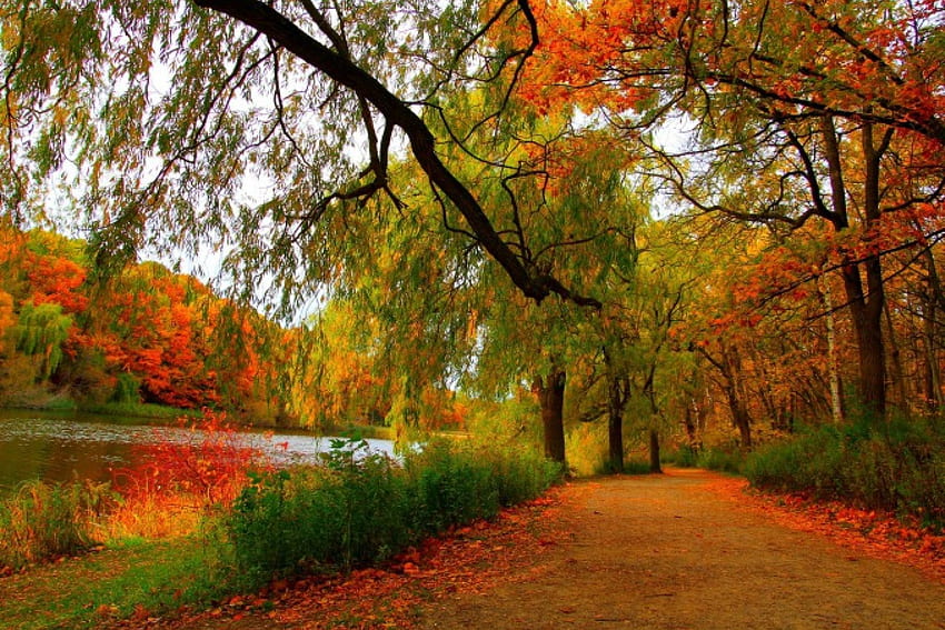 Autumn By The Lake, path, Fall, bushes, Autumn, walkway, lake, trees, water, forest HD wallpaper