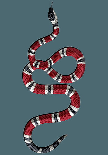 Gucci Snake wallpaper by reachparmeet  Download on ZEDGE  a2b2