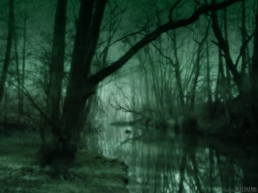 Swamp Swamp Background para s papel de parede HD