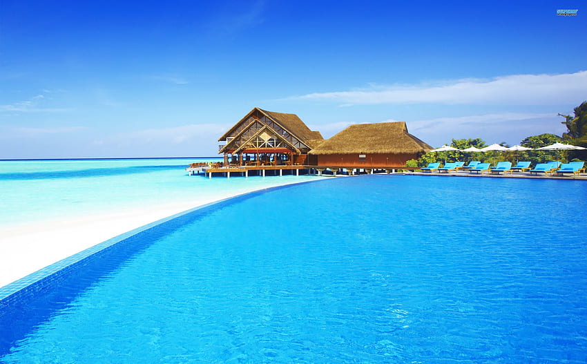 Bienvenido a las Maldivas, relajante, paraíso, piscina, paz, agua. fondo de pantalla