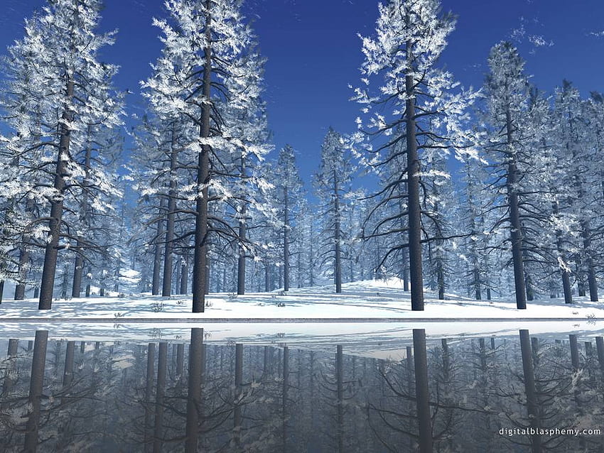 Winter Snow Scenes, Snowscape HD wallpaper