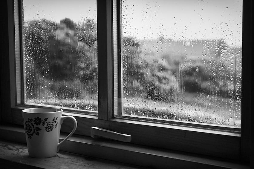 雨の日曜日、雨、日曜日、窓、カップ 高画質の壁紙