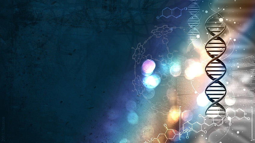 Genetik - , genetischer Hintergrund über Fledermäuse, fantastische Biochemie HD-Hintergrundbild