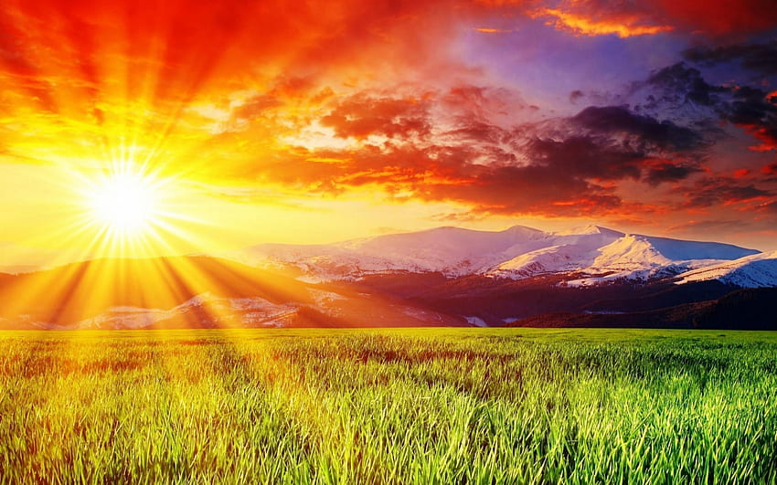 รังสีของดวงอาทิตย์ รังสี โดยธรรมชาติ ตอนเช้า ภูมิทัศน์ สี สวย หญ้า พระอาทิตย์ขึ้น ดี สนาม เมฆ วิว ธรรมชาติ ท้องฟ้า ภูเขา ดวงอาทิตย์ วอลล์เปเปอร์ HD