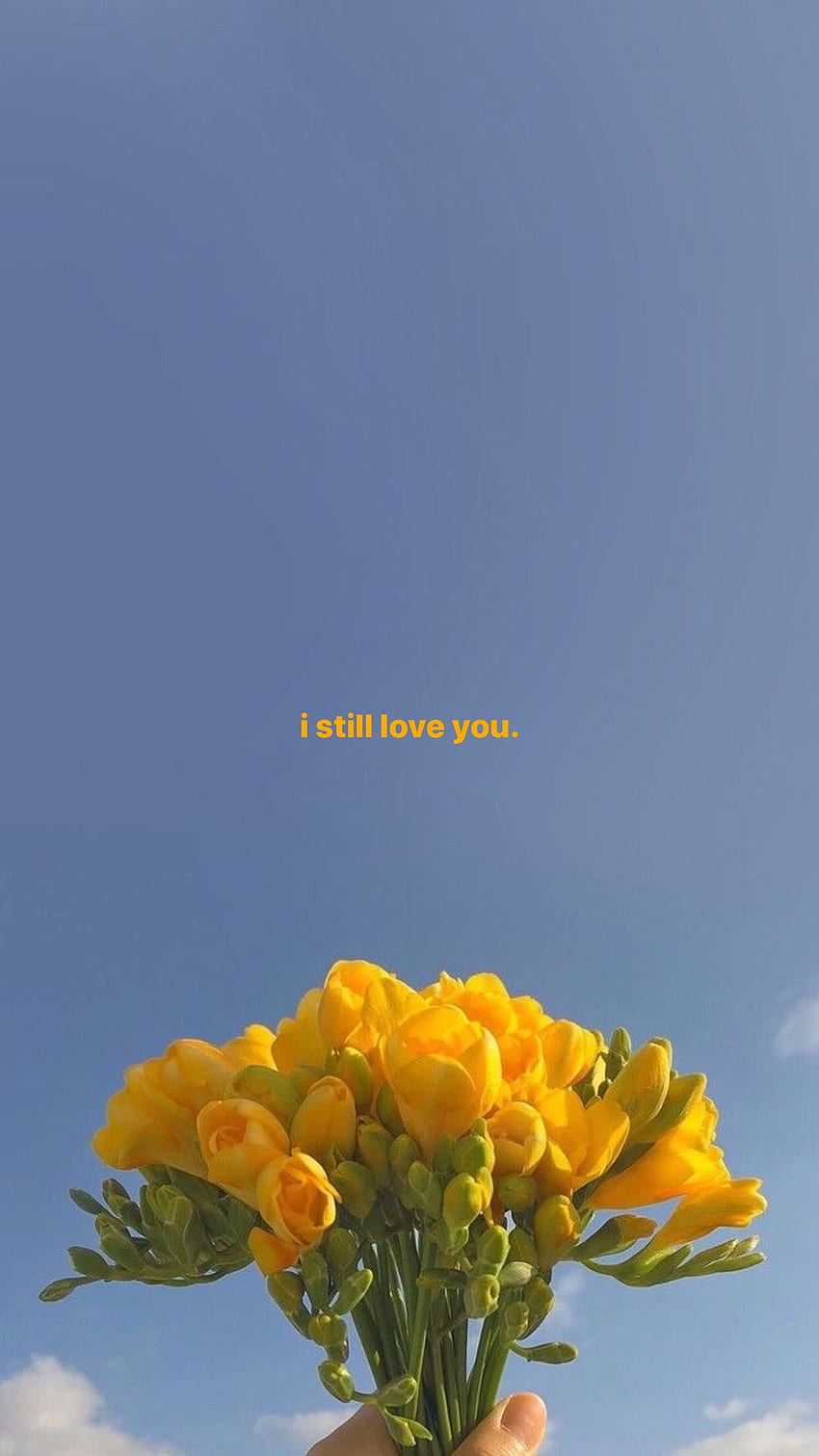Pin di quotes aesthetic ✨, I Still Love You wallpaper ponsel HD