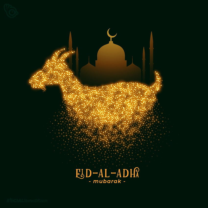Deseos de Eid ul Adha – Deseos de Eid ul Adha (EID Mubarak 2021) 2021, Eid al-Adha fondo de pantalla del teléfono
