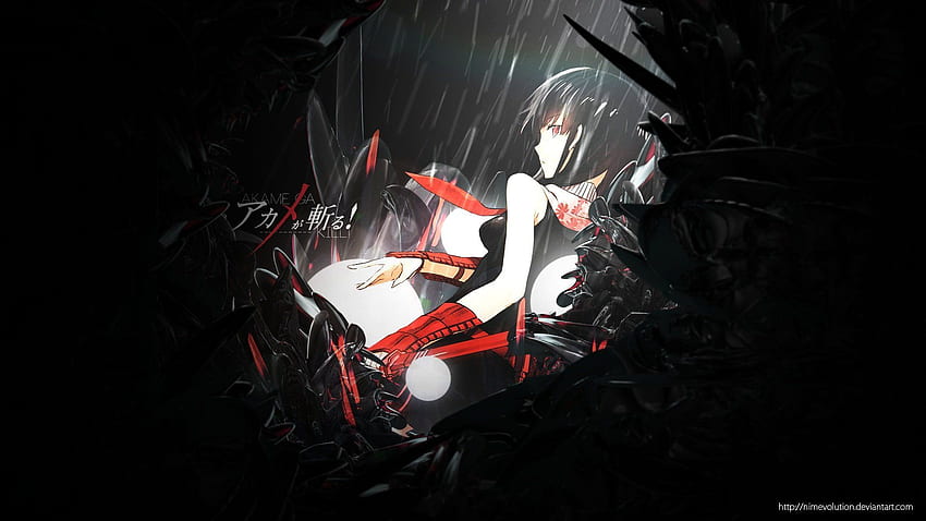 Wallpaper : black, illustration, anime girls, red, silhouette, katana,  Akame ga Kill, hand, computer wallpaper 1920x1080 - kejsirajbek - 1462 - HD  Wallpapers - WallHere