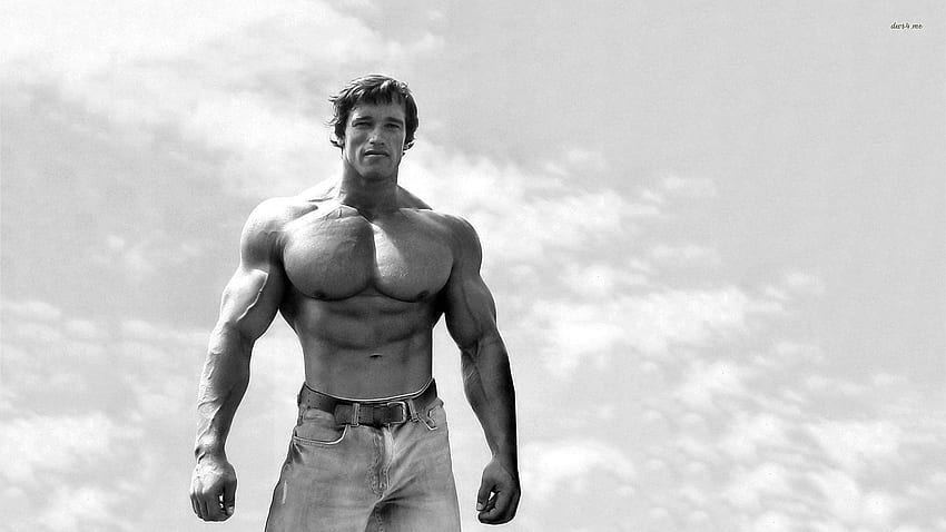 Bohater - Arnold Schwarzenegger Mr Olympia 1980 Tapeta HD