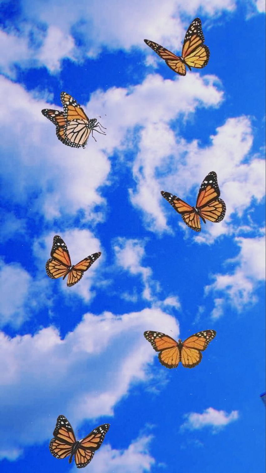 Cute butterfly pattern HD wallpapers | Pxfuel