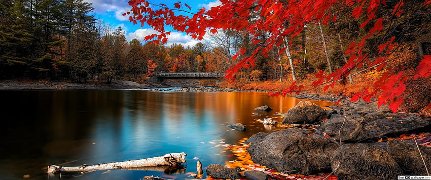 Красив изглед към есенния сезон, 3440X1440 Есен HD тапет