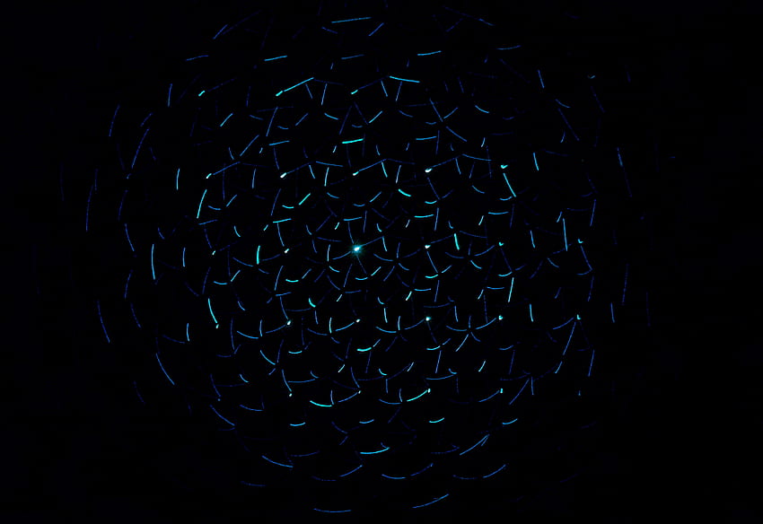 Dark, Circles, Shine, Light, Dark Background, Neon HD wallpaper