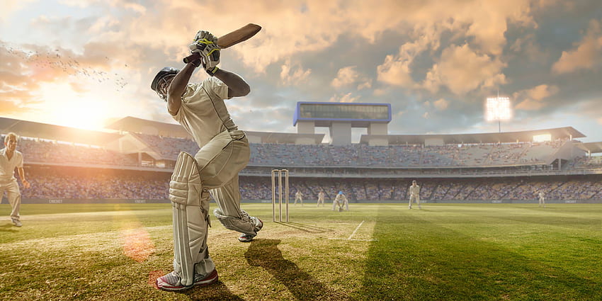Cricket HD wallpaper