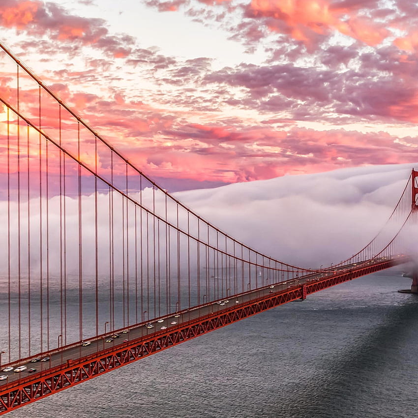 Golden Gate Bridge in fog in San Francisco, San Francisco iPad HD phone wallpaper