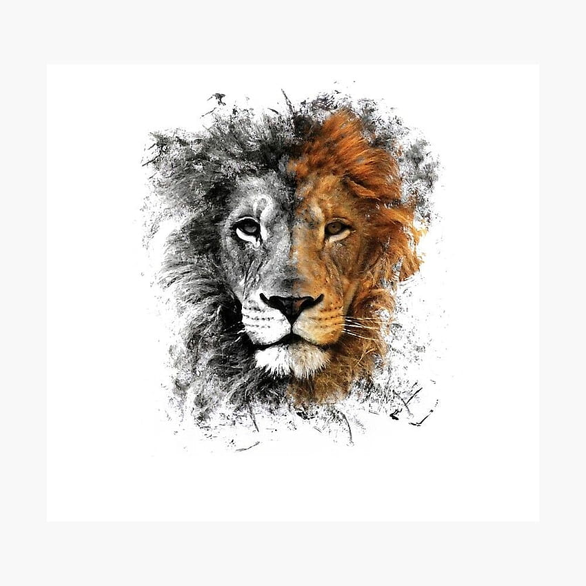 T SHIRT Grafika Lion Head' autorstwa Tarka Tarka w 2020 r. Akwarela Lew, Sztuka lwa, Grafika lwa Tapeta na telefon HD