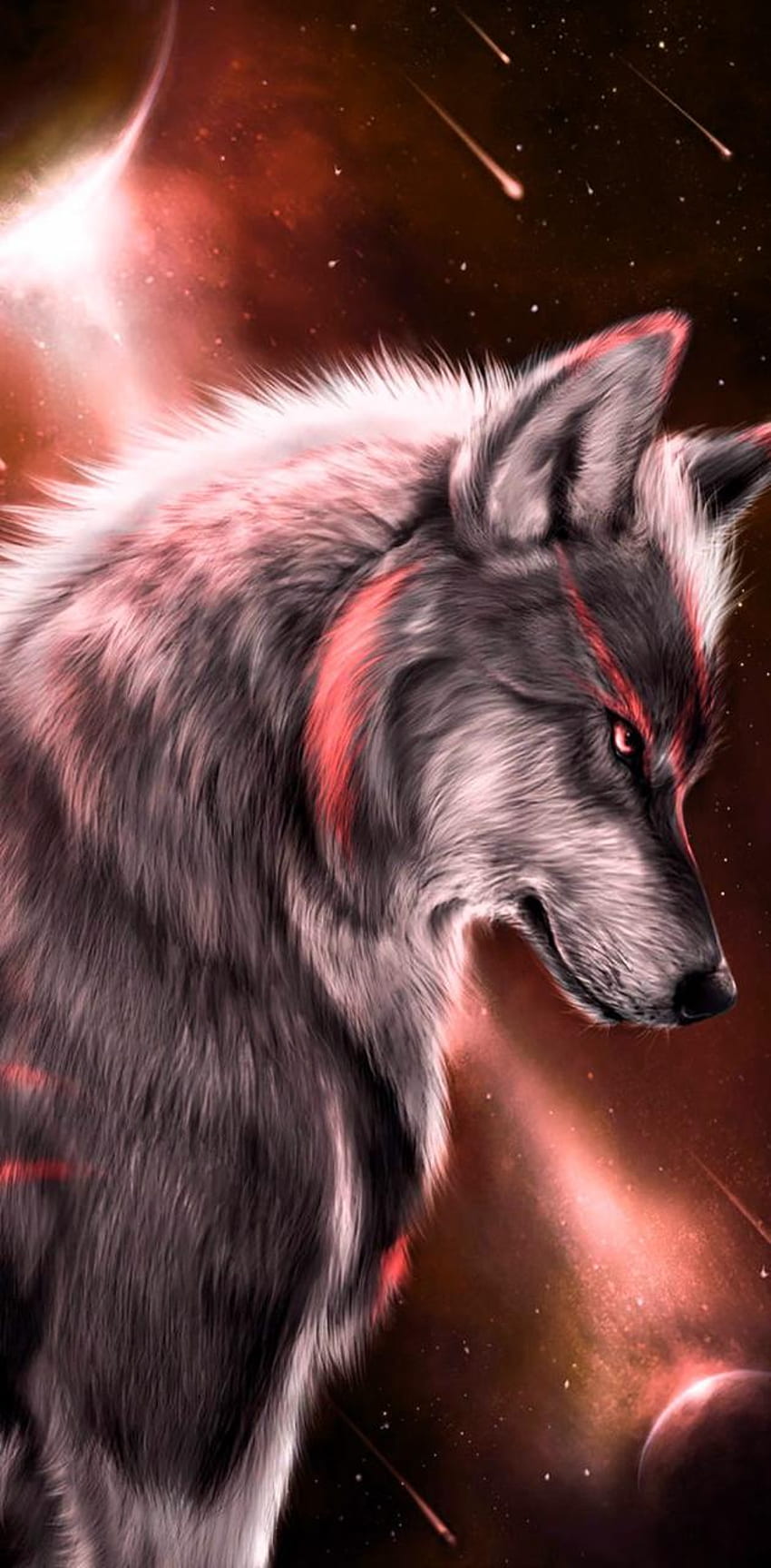 Roter Wolf, kühler roter Wolf HD-Handy-Hintergrundbild