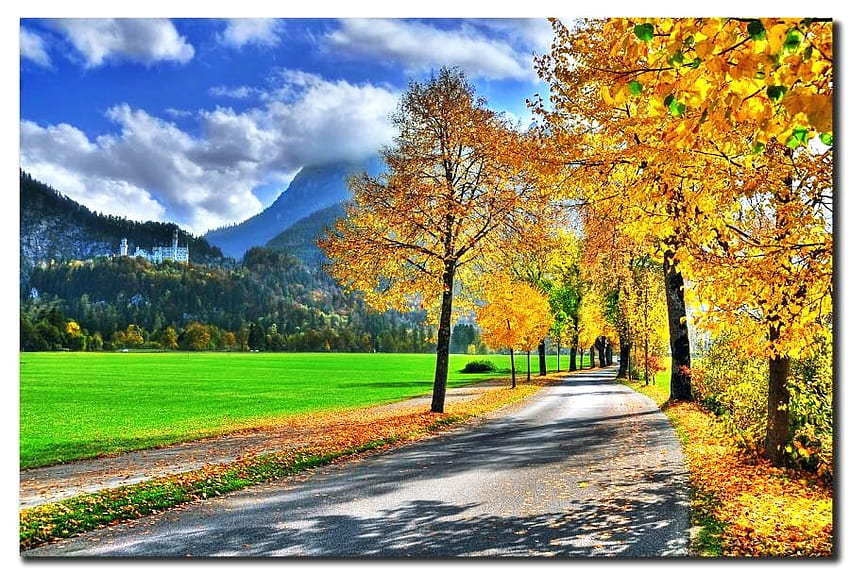 Jalan lain untuk bepergian, jalur, rumput, emas, pedesaan, oranye, pohon, kuning, musim gugur, pegunungan Wallpaper HD