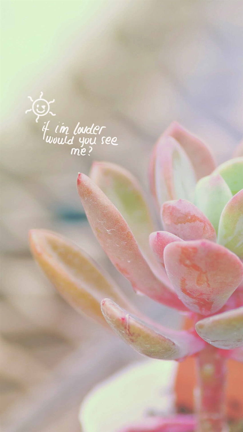 Reine elegante rosa fleischige Pflanze Bokeh iPhone 8 HD-Handy-Hintergrundbild