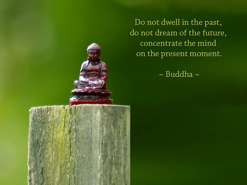 Buddha with Buddha Quote to inspire and motivate you [] for your , Mobile & Tablet. Explore Buddha Quote . Buddha , Buddhist , Buddha, Green Buddha HD wallpaper