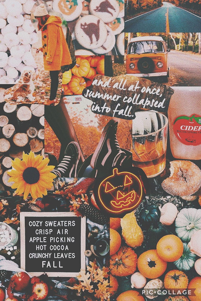 Fall vibes Collage Wallpaper  Cute laptop wallpaper Desktop wallpaper fall  Halloween desktop wallpaper