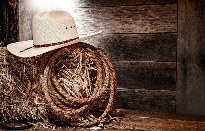 USA, hat, Style, wooden, country, Texas, cowboy, boots, America, rope, hay, boards, horseshoe, cowboy hat for , section разное HD wallpaper