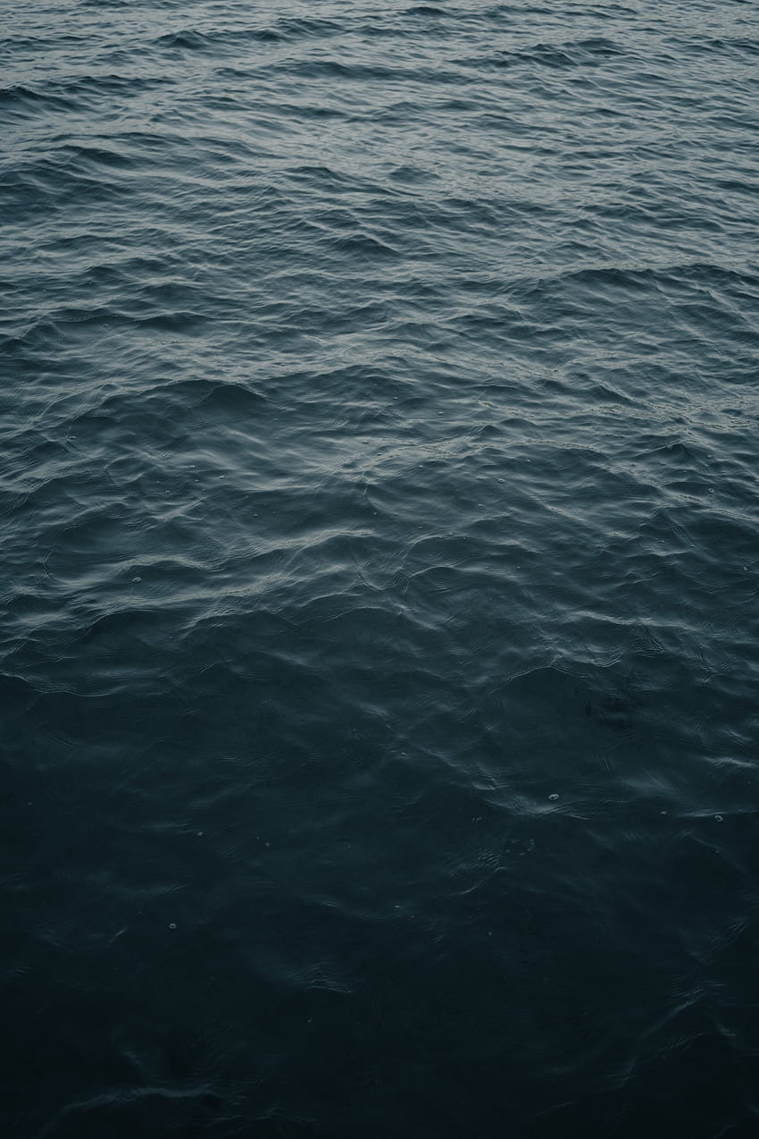 Nature, Water, Waves, Ripples, Ripple, Surface, Grey HD phone wallpaper