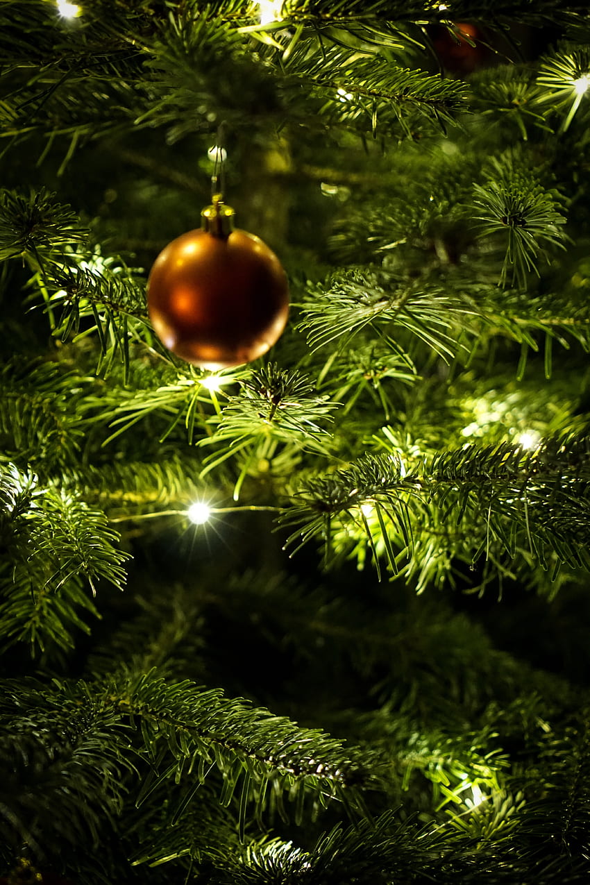 Празници, Нова година, Топка, Коледна елха, Гирлянд, Украса HD тапет за телефон