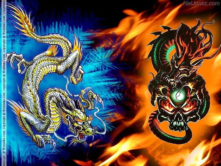 Fire Ice Dragon - Primo . Drago di fuoco, drago di ghiaccio, teschio e drago Sfondo HD