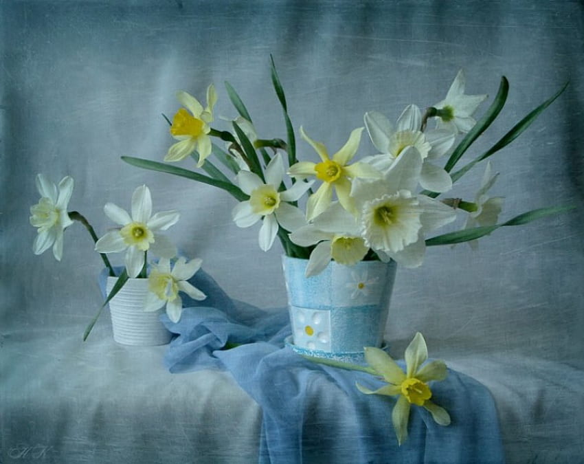 Daffodil Spring Sill Life, weiß, abstrakt, blauer Topf, Narzissen, Grafik, gelb, blauer Stoff HD-Hintergrundbild