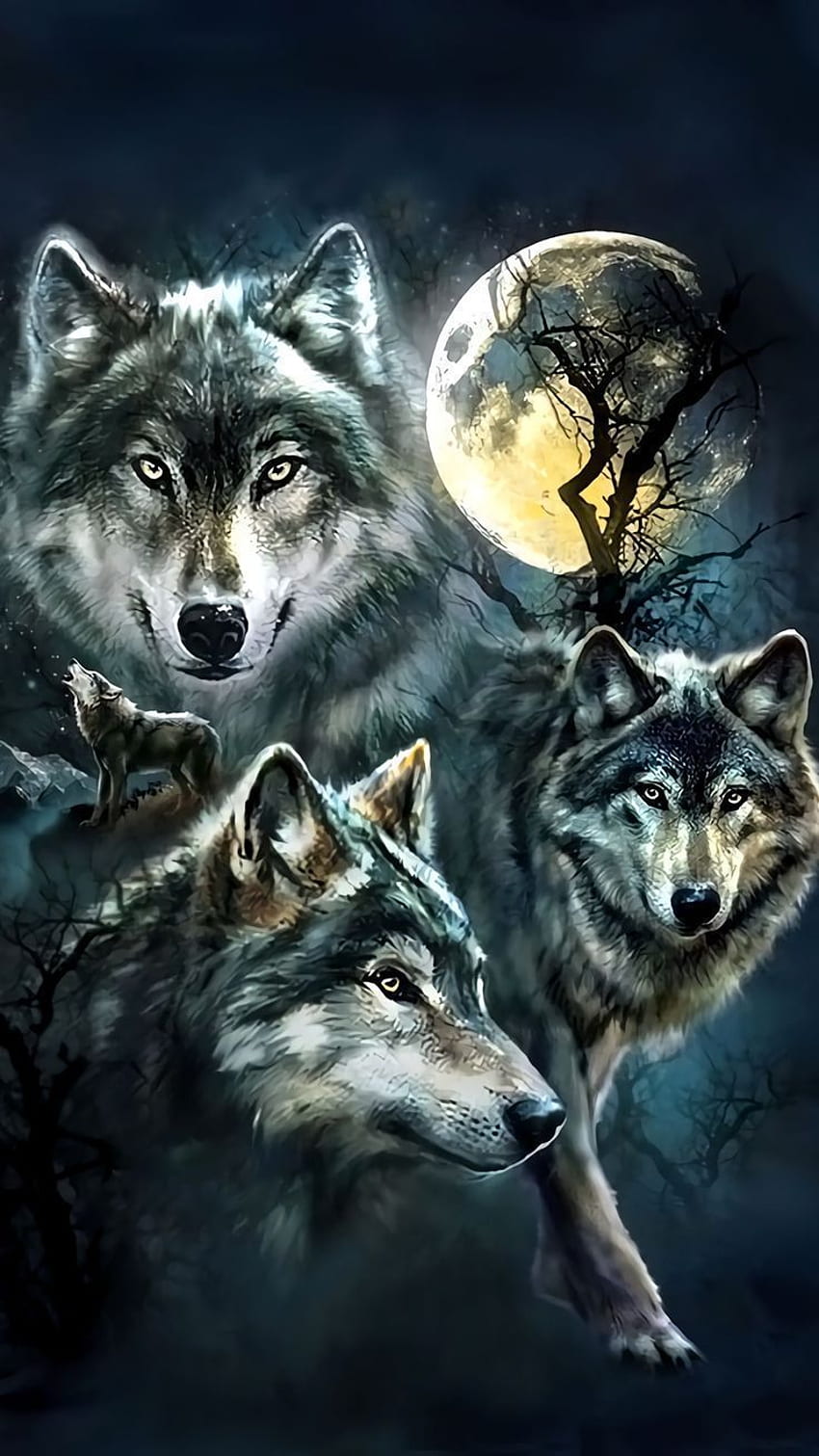 Native American Wolf gepostet, indianischer Wolf HD-Handy-Hintergrundbild
