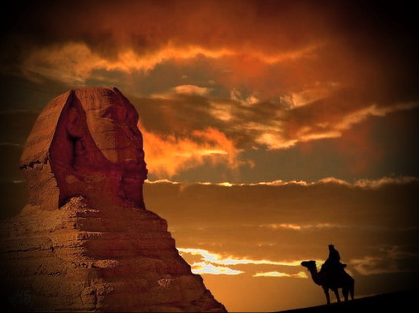 Pôr do sol no deserto, camelo, areia, luz solar, homem, nuvens, deserto, esfinge, ouro papel de parede HD