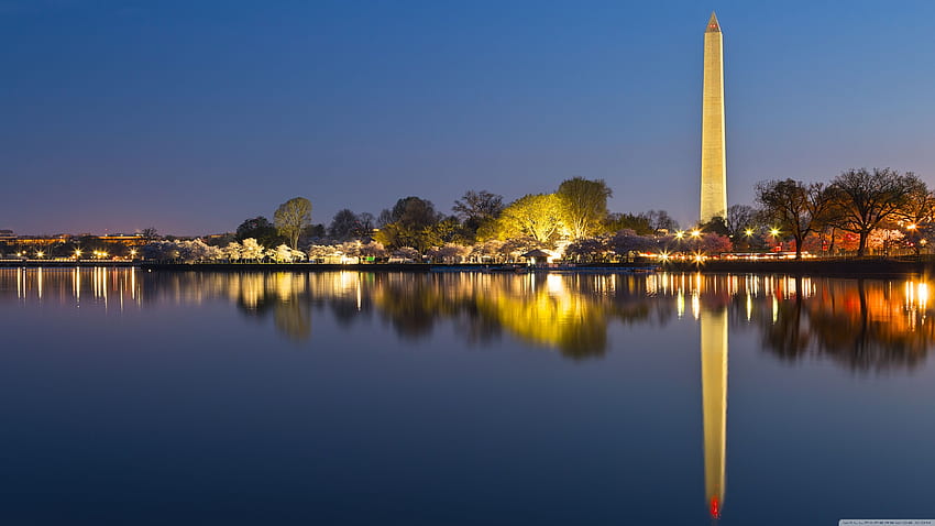 Washington DC Memorials ในเวลากลางคืน Ultra Background สำหรับ U TV : & UltraWide & Laptop : Multi Display, Dual Monitor : Tablet : Smartphone, Washington City วอลล์เปเปอร์ HD
