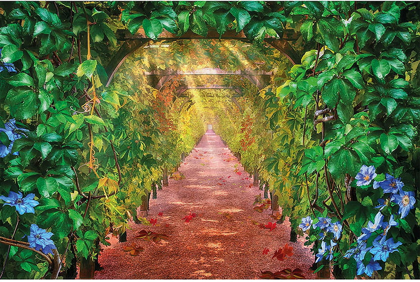 GREAT ART – ブドウのつる路地 – 装飾 ブドウ園 ワイナリー バレー グリーン トンネル 自然 アベニュー 植物 イラスト 装飾 壁壁画 (82..1インチ - cm): ポスター & プリント 高画質の壁紙