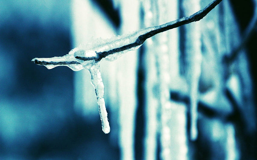 ธรรมชาติ น้ำแข็ง กิ่งไม้ ฤดูใบไม้ผลิ แท่งน้ำแข็ง วอลล์เปเปอร์ HD