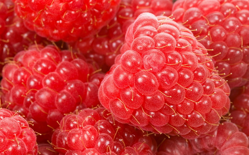 Food, Raspberry, Berry, Ripe HD wallpaper