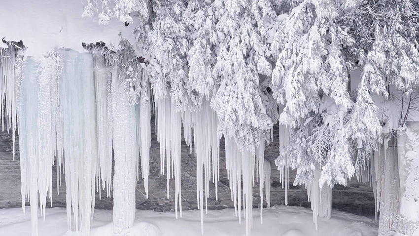 As Cold As It Gets, winter, frozen, icicles, snow, trees, waterfall, ice, ze HD wallpaper