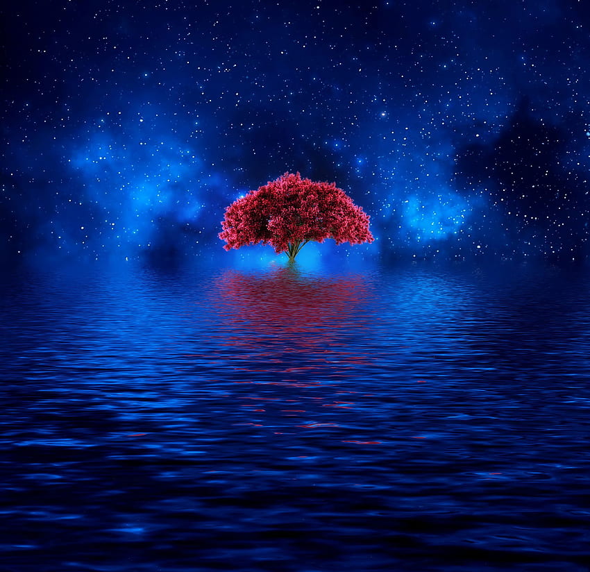 Inherent Existence by Josep Sumalla on 500px. Night by stars&moon HD wallpaper
