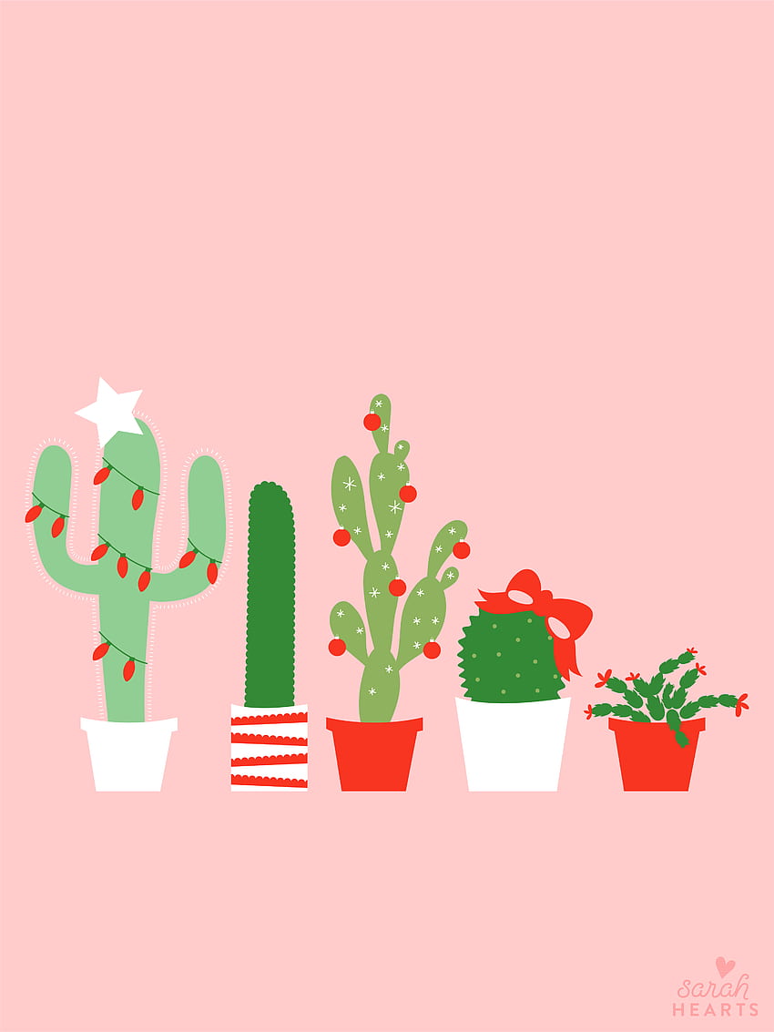 Dezember 2017 Weihnachtskaktus-Kalender, Cool Cactus HD-Handy-Hintergrundbild