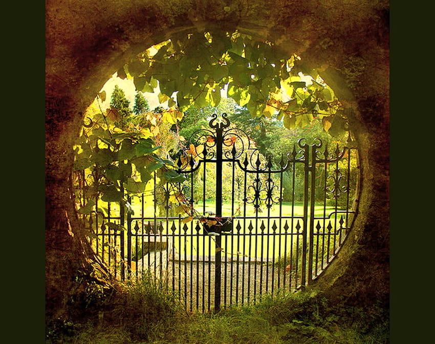 The Gate, wrought iron, sunlight, green, gate, trees, garden, flowers, walkway HD wallpaper