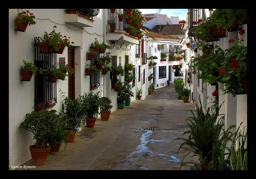 Flower Pot Alley - Italia, arte, blanco, balcones, hermoso, casas, rojo, callejón, flores, macetas fondo de pantalla