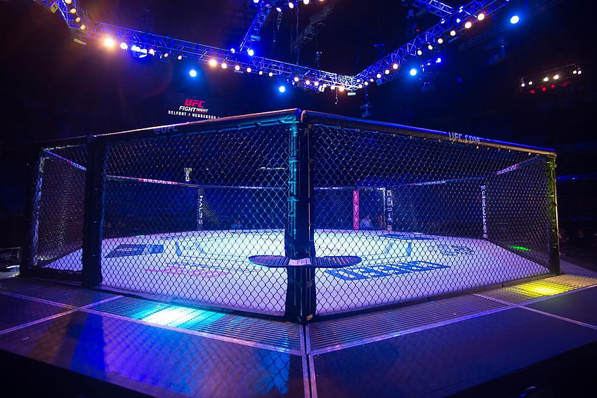 octógono, local de esporte, luz, rede, iluminação, palco - Use, UFC Cage papel de parede HD