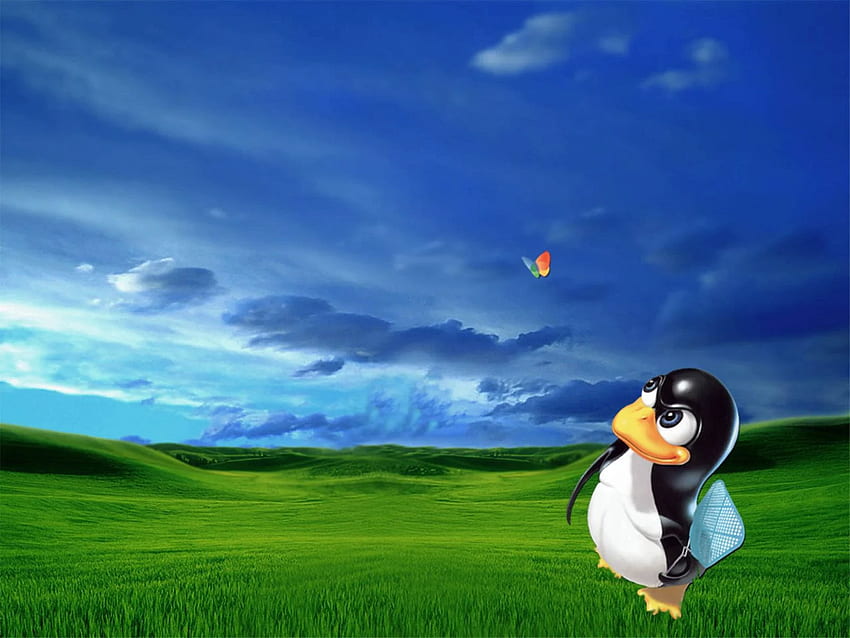 Linux, Linux vs Windows HD wallpaper